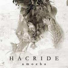 hacrideamoeba.jpg